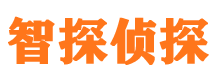 宁化侦探公司